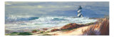 Light House Beach