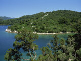 National Park  Mljet Island  Dalmatia  Croatia  Europe
