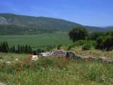 Neretva Delta Valley  Croatia  Europe