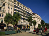 Boulevard Des Pyrenees in Winter  Pau  Bearn  Aquitaine  France  Europe