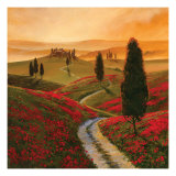 Poppies