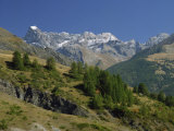 Trees and Mountains in the Vanoise  Savoie in the Rhone-Alpes  French Alps  France