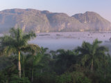 Vinales  Cuba  West Indies  Central America