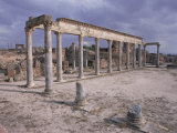 Palaestra of Petronius Maius  Thuburbo  Tunisia  North Africa  Africa