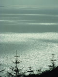 Islands of Light on Surface of the Sea Off North Jura  Strathclyde  Scotland  United Kingdom