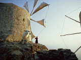 Basic Windmills and Portrait of Goat  Olimbos  Karpathos  Dodecanese Islands  Greek Islands  Greece