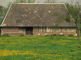 Half Timbered Farm Building Near Pont Audemer  Marais Vernier  Haute Normandie  France