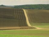 Landscape of Ploughed Fields and Track Through Farmland Near Chablis in Burgundy  France  Europe