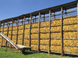 Large Wire Cages of a Maize Store on a Farm Near Chambery  Savoie  Rhone Alpes  France