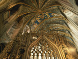 Close-Up of the Ceiling in the Interior of the Cathedral at Albi  Midi-Pyrenees  France  Europe