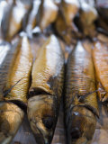 Smoked Herring in Fish Market  Bruges  Belgium  Europe