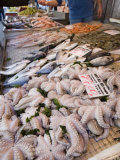 Fish Stall in Street Market  Ortygia  Syracuse  Sicily  Italy  Europe