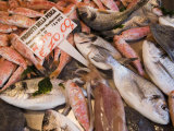 Fish Stall in Street Market  Ortygia  Syracuse  Sicily  Italy  Europe