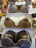 Chocolate Breasts in Shop Window  Bruges  Belgium  Europe