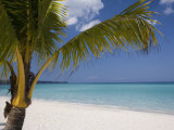 Negril  Jamaica  West Indies  Caribbean  Central America