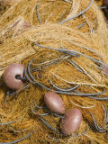 Close-Up of Fishing Nets and Floats  Cefalu  Sicily  Italy  Europe