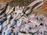 Fish Stall in Street Market  Ortygia  Syracuse  Sicily  Italy  Europe