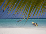 Negril  Jamaica  West Indies  Caribbean  Central America