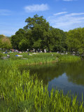 Turtle Pond Area in Central Park  New York City  New York  United States of America  North America
