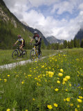 Cyclists Riding Through an Alpine Meadow  Valle Di Landro  Hohlensteintal  Dolomites  Italy  Europe