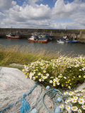 Helvick Head Pier  County Waterford  Munster  Republic of Ireland  Europe