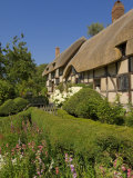 Anne Hathaway's Cottage  Shottery  Near Stratford-Upon-Avon  Warwickshire  England