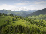 Carpathian Mountains North of Campulung Moldovenesc  Moldavia  Southern Bucovina  Romania  Europe