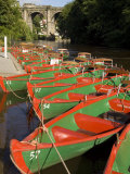Rowing Boats for Hire on the River Nidd at Knaresborough  Yorkshire  England  United Kingdom