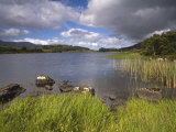 Looscaunagh Lake  Killarney National Park  County Kerry  Munster  Republic of Ireland  Europe