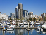 Tuna Harbor and Skyline  San Diego  California  United States of America  North America