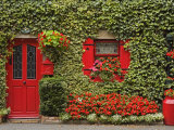 Ivy Covered Cottage  Town of Borris  County Carlow  Leinster  Republic of Ireland  Europe