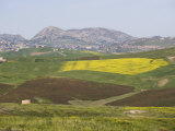 Rural Landscape Near Agrigento  Sicily  Italy  Europe