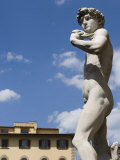 Statue of David  Piazza Della Signoria  Florence  Tuscany  Italy  Europe