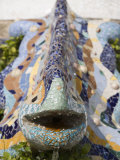 Detail  Dragon Fountain  Parc Guell  UNESCO World Heritage Site  Barcelona  Catalonia  Spain