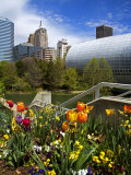 Myriad Botanical Gardens  Downtown Oklahoma City  Oklahoma  United States of America  North America