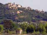 Montepulciano  Val D'Orcia  Tuscany  Italy  Europe