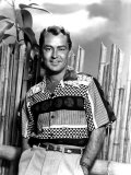 Portrait of Alan Ladd