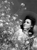 Linda Darnell  1943