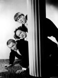 The Three Stooges  Moe Howard  Larry Fine  Curly Howard