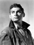 Sword in the Desert  Jeff Chandler  1949