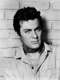 The Rawhide Years  Tony Curtis  1955