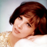 Gina Lollobrigida  1960s
