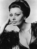 Sophia Loren  c1960s