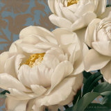 Dolce Peonia