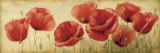 Poppies Grace II