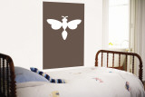 Brown Firefly