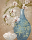 Orchid Grace II