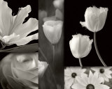Summer Garden II