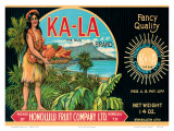 Ka-La The Sun Brand  Pineapple Label  Honolulu Fruit Company  c1940