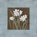 Spring Awakening I